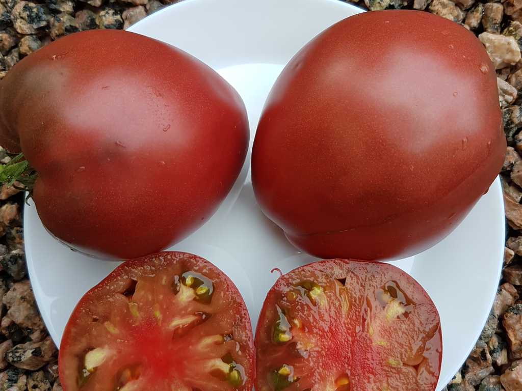 Black Pyramid-Chornaja Piramida